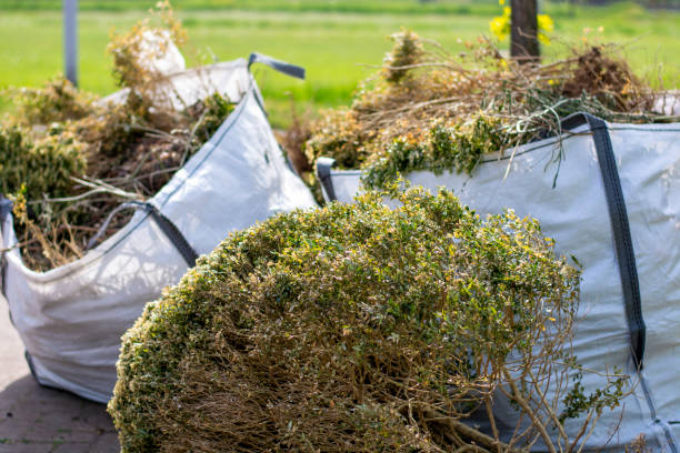 Best Electronics Removal Services  in New Mford, IL